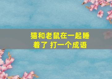 猫和老鼠在一起睡着了 打一个成语